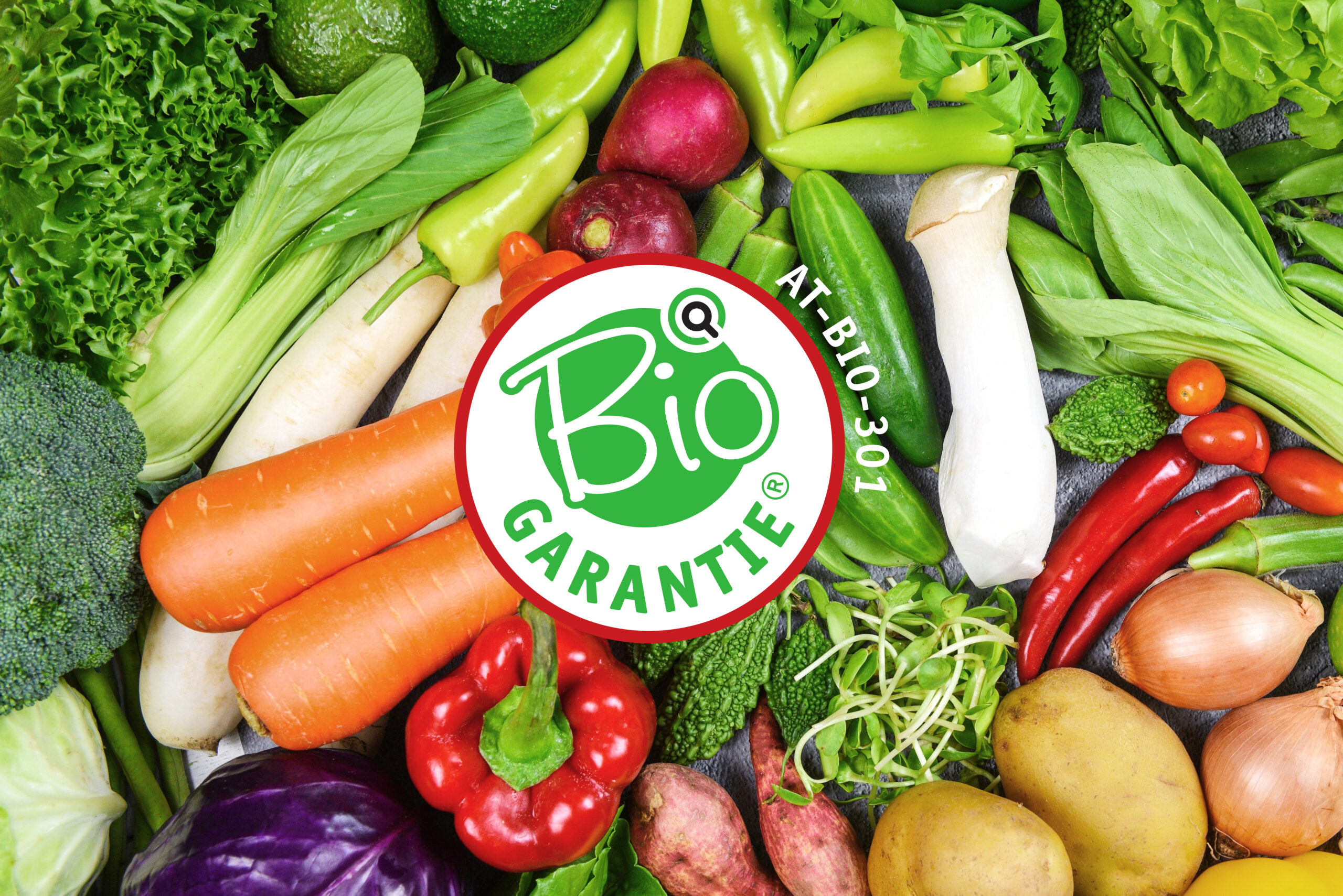 Obst Gemüse in Bio Qualität